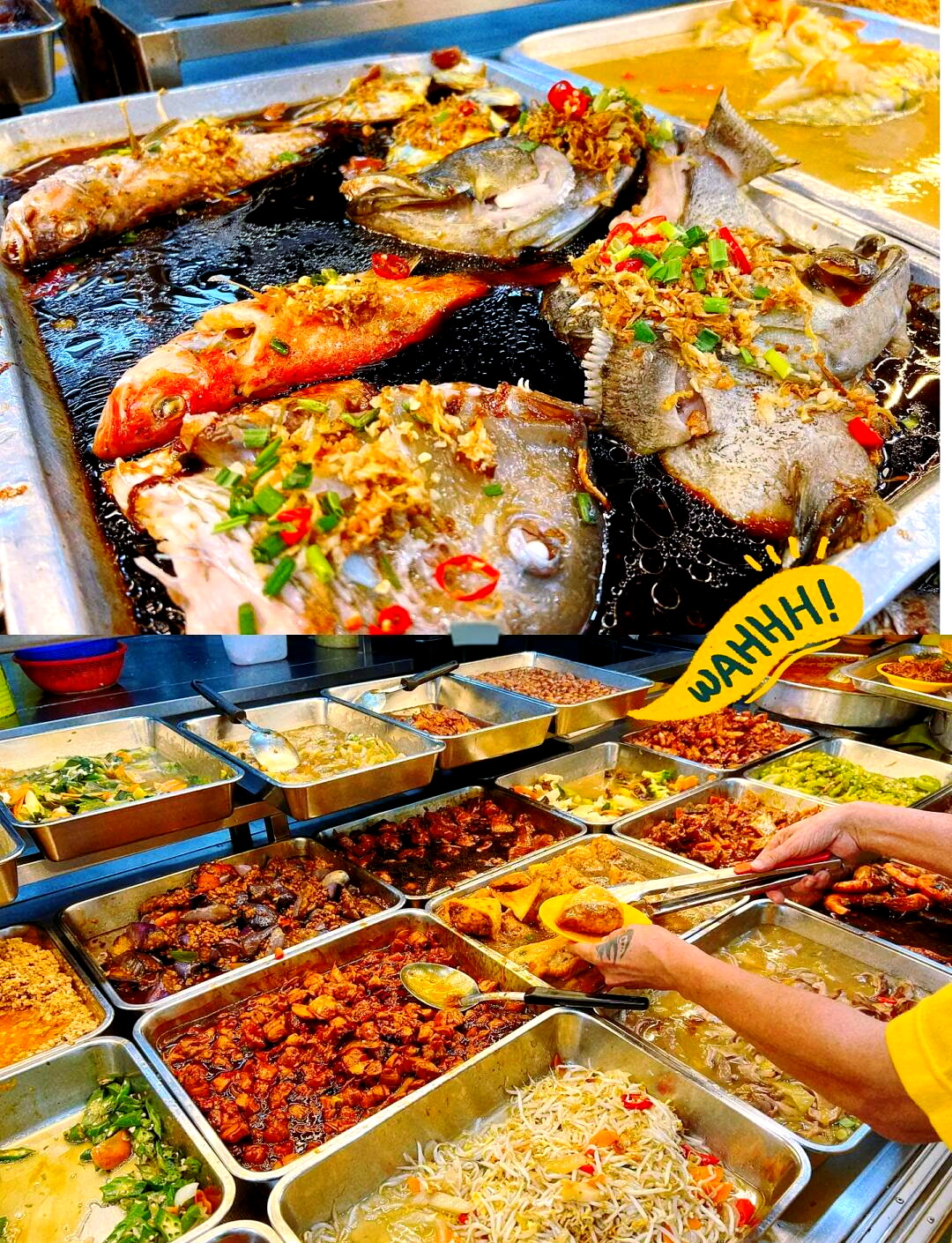 新加坡本地人的省钱秘籍：住房、饮食、交通……原来还能这样省！