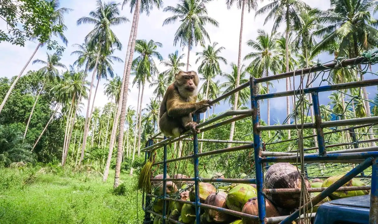 新加坡游玩攻略必去的地方 这几个神仙打卡地别错过了