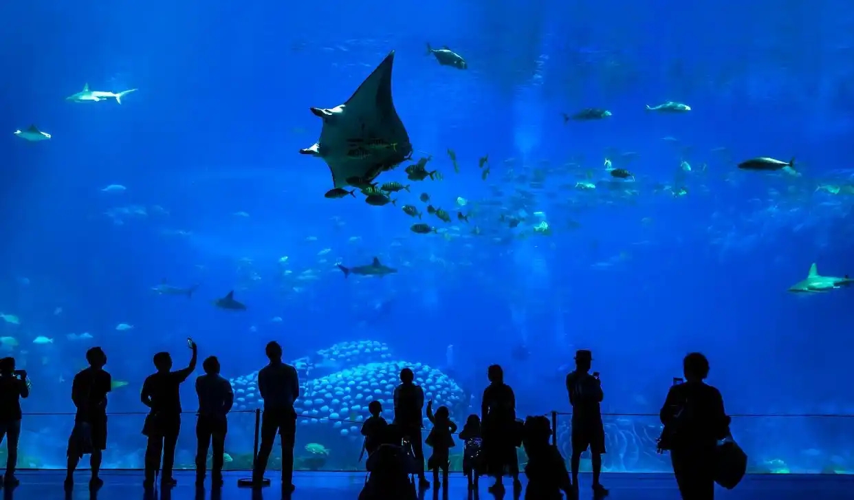 新加坡游玩攻略必去的地方 这几个神仙打卡地别错过了