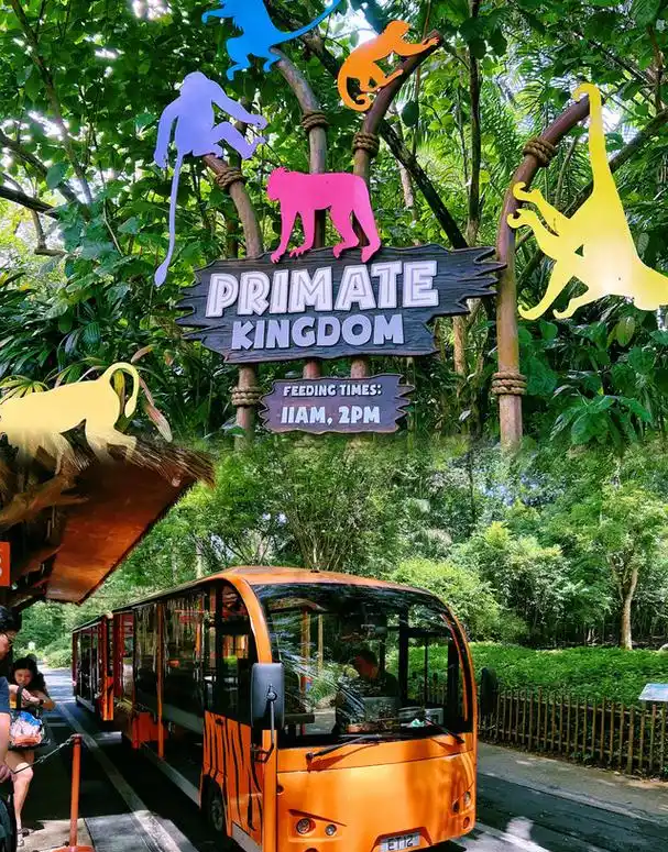 新加坡动物园+夜间动物园,一日玩转两大王牌!亲子游超强攻略