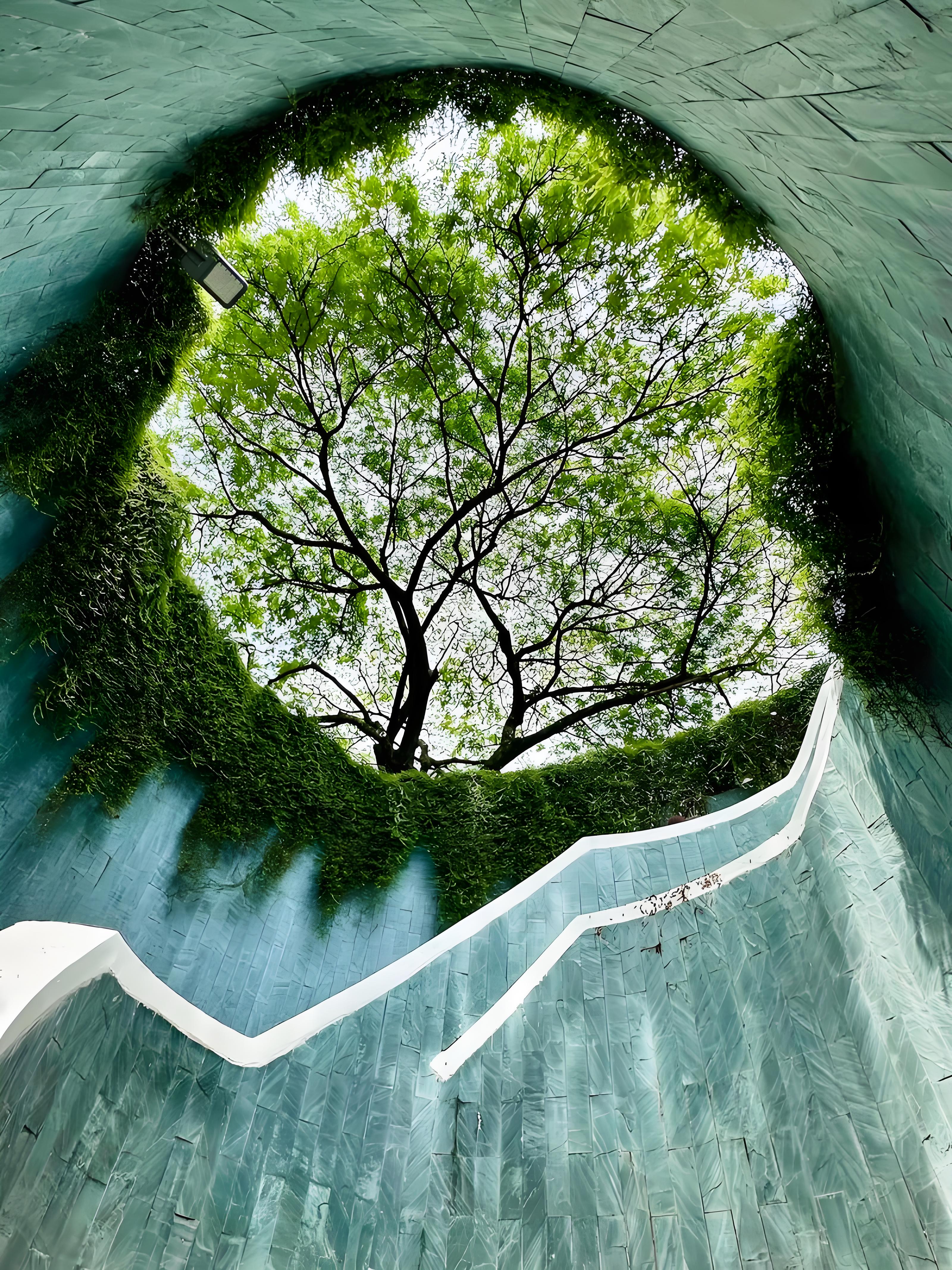 2026新加坡拍照打卡全攻略：爆款机位+绝美滤镜，朋友圈都问疯了！